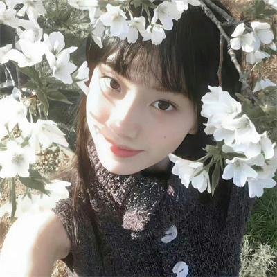 龟女士的奥德赛